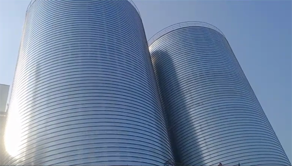 轵城镇2座混凝土高架卷板仓